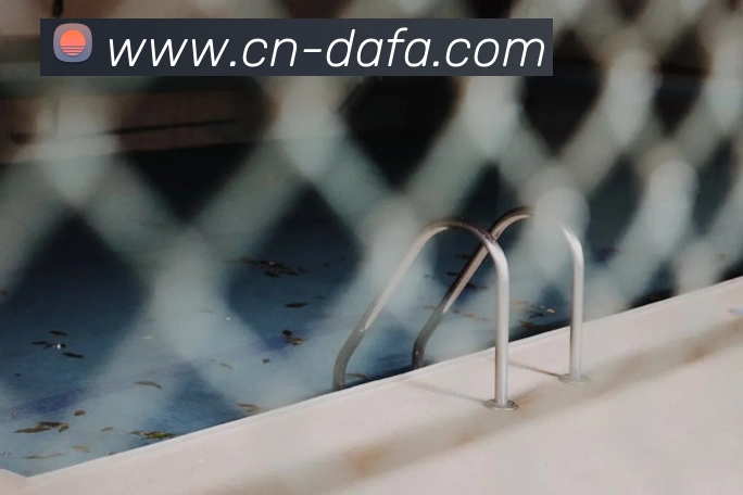 大发彩票平台生态图