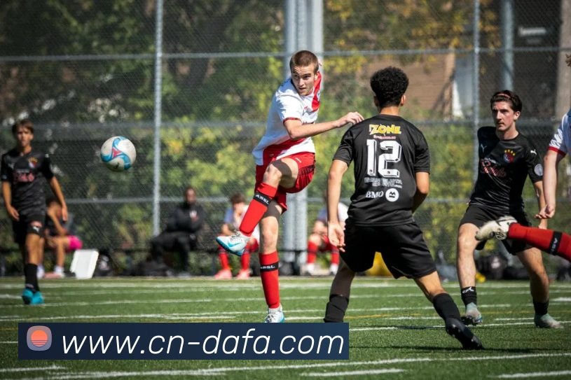 大发彩票全站App